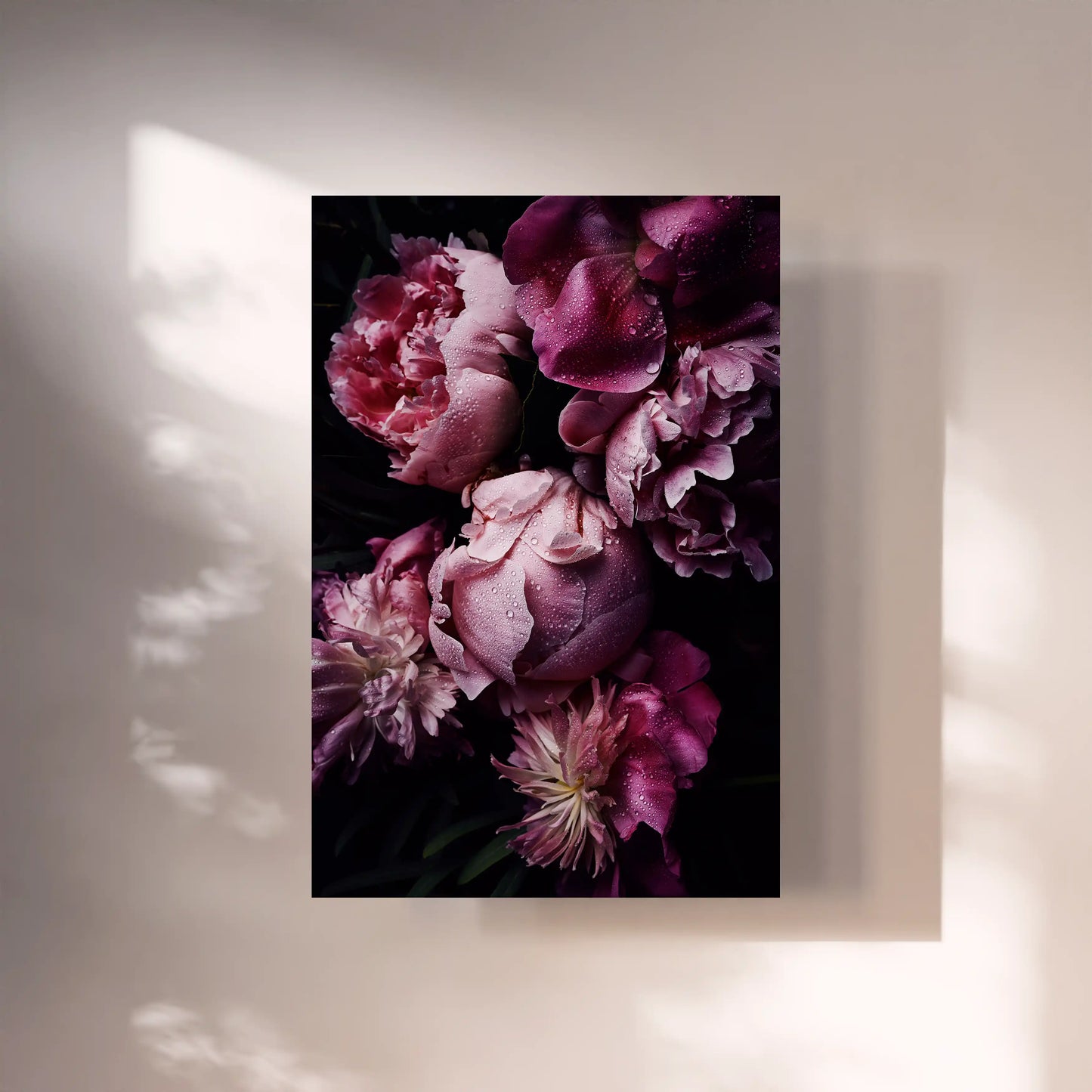 blumenfotografie-pfingstrosen-fineart-print-peony-flowers-photography