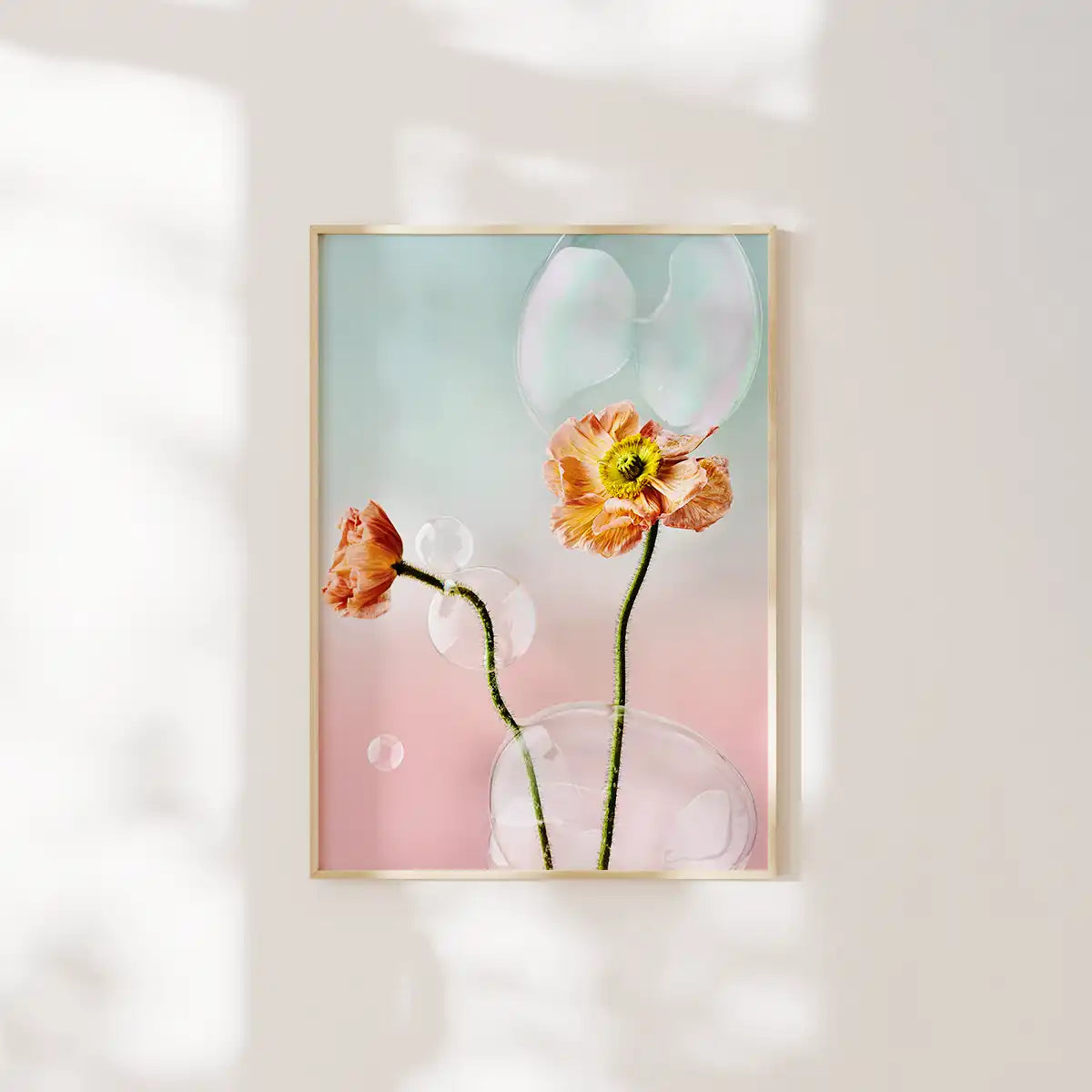 Iceland Poppies and Bubbles Fineart Print