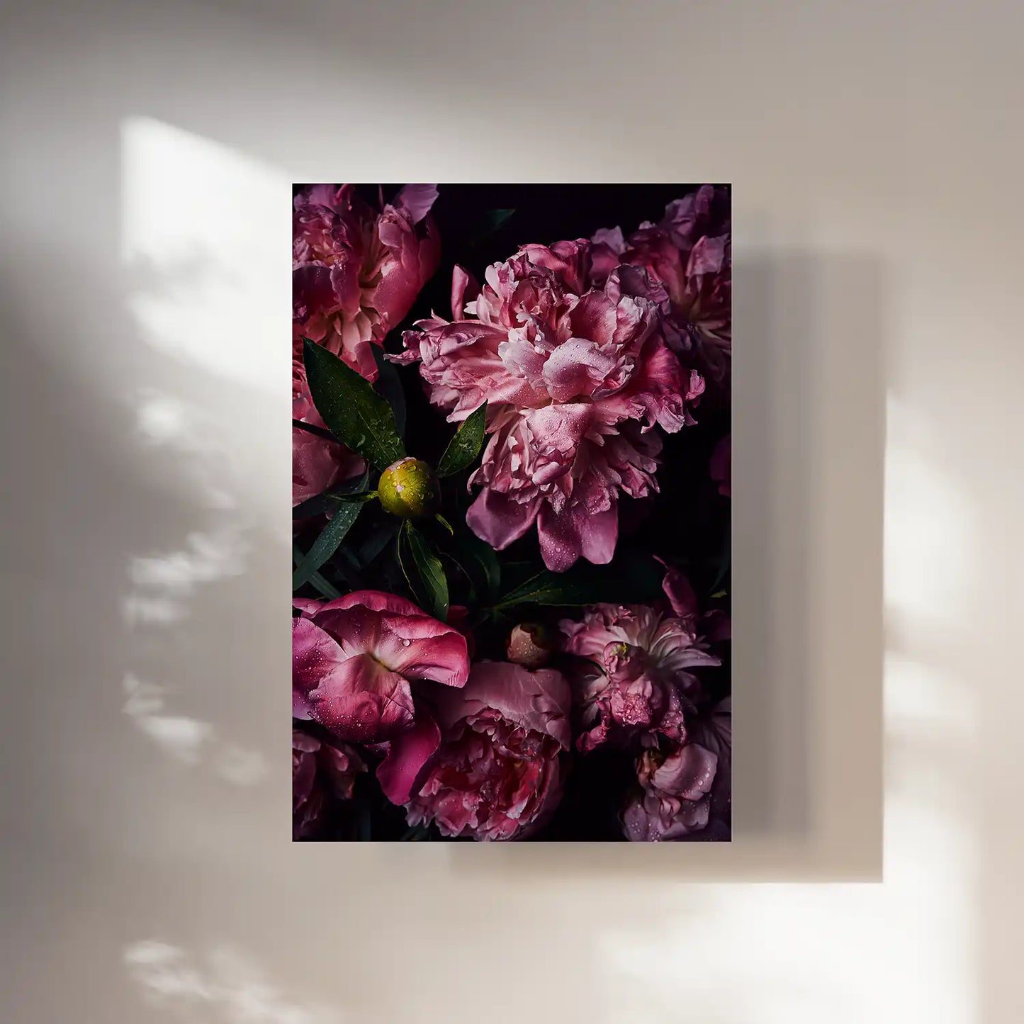 kunstdruck-pfingstrosen-pink-peony-flower-photography-blumen-fotografie-kunstwerk