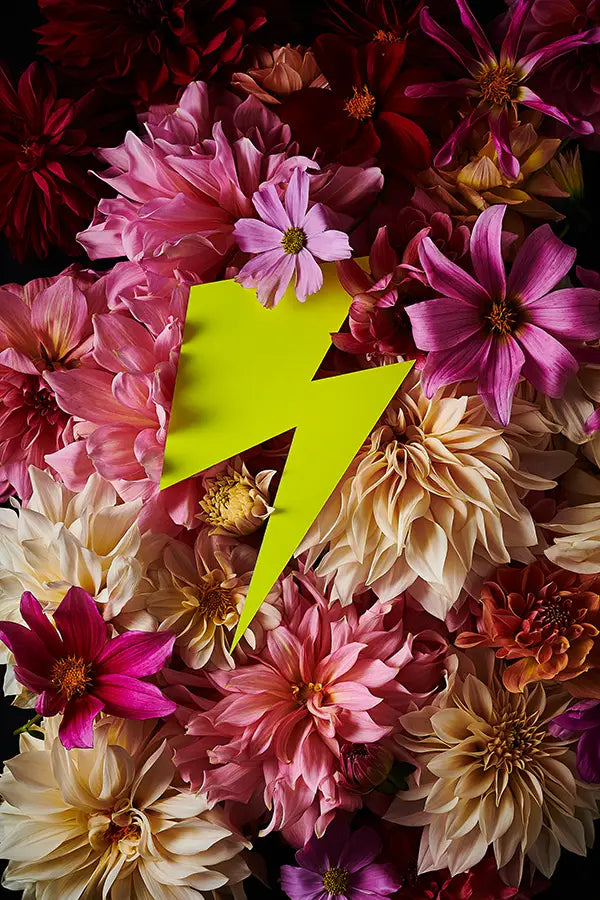 Neon Flowers | Flash