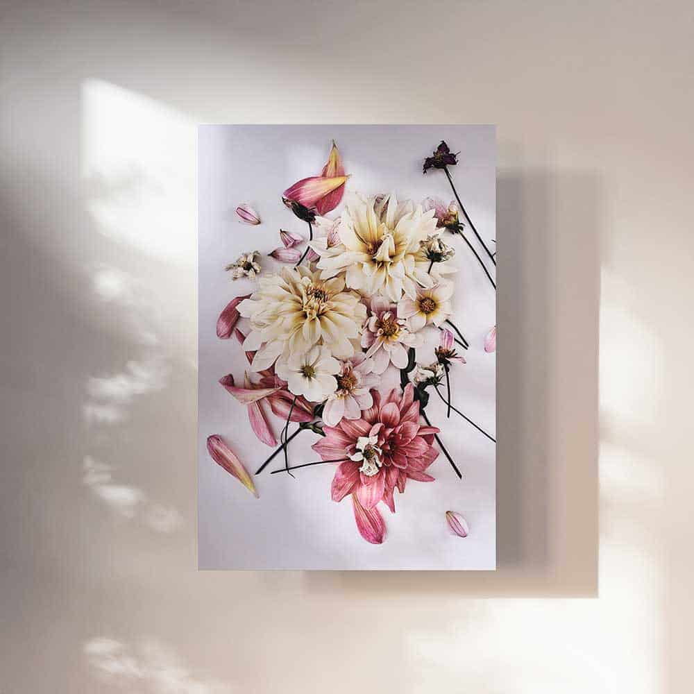 wandbilder-wohnzimmer-blumen-dahlien-pudertoene-blumenfotografie-postershop-heartmade-prints