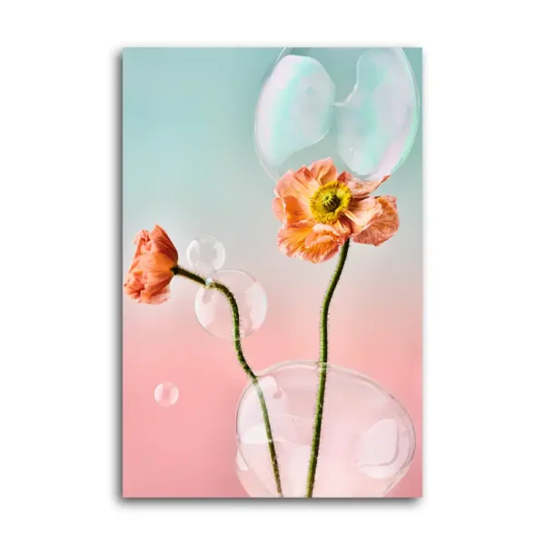 Iceland Poppies and Bubbles Fineart Print