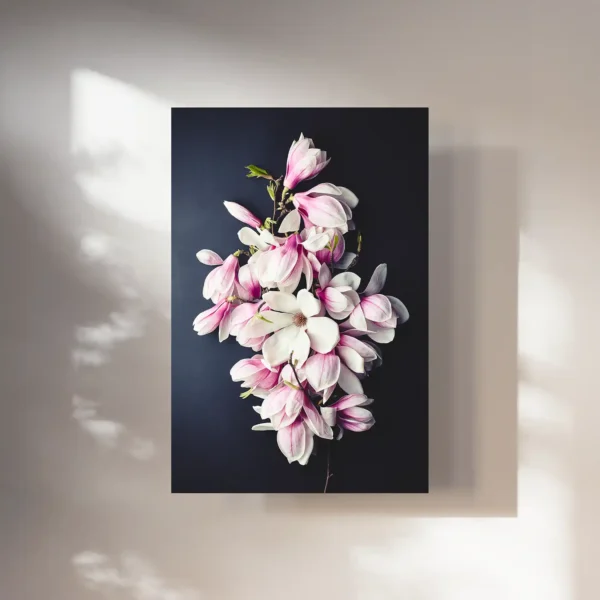 Kunstdruck Magnolien Fineart Print Magnolia Flower Photography
