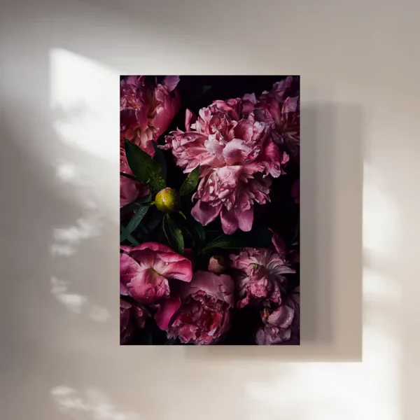 Kunstdruck Pfingstrosen Blumenfotografie Fineart Prints pink peony flower photography