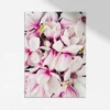 Kunstdruck Magnolien Blüten Fineart Print Magnolia Flower Photography
