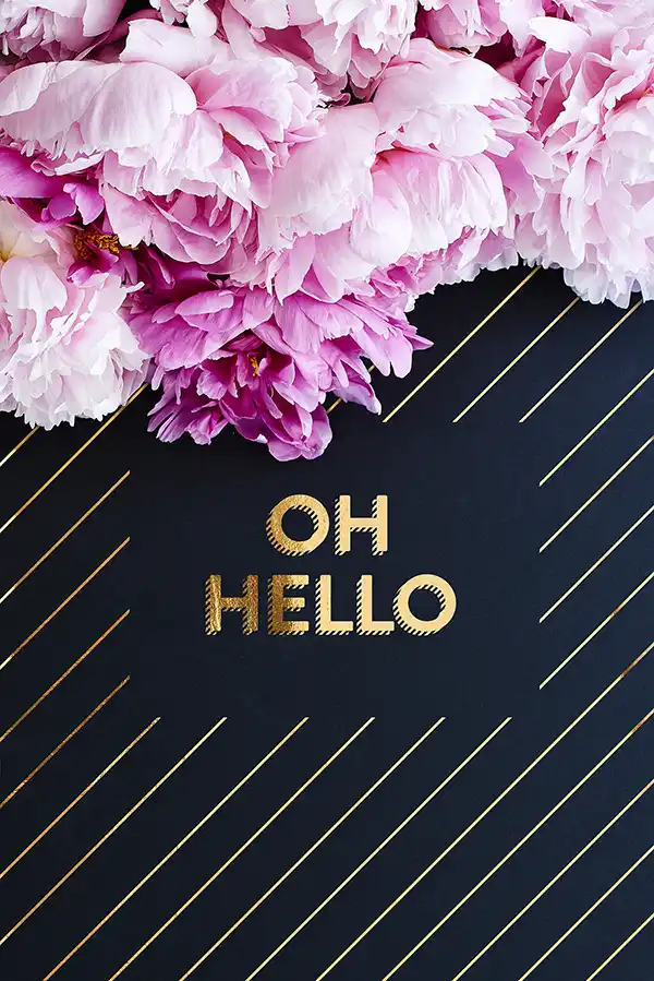 Kunstdruck "Oh hello" Blumen kombiniert mit Typography Artprint Flowers and quotes
