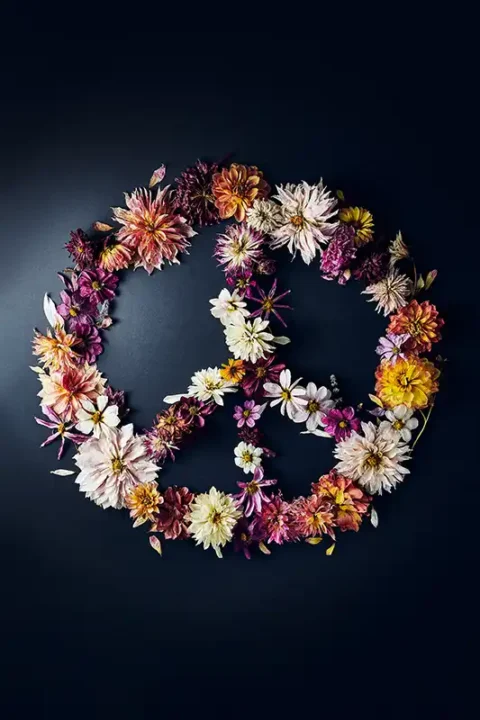 Peace Flower Floral Fine Artprint Blumenfotografie Kunstdruck