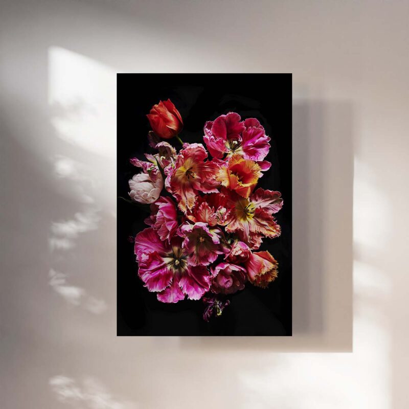 Blumenposter mit Tulpen als Wandbild bestellen Fineart Print Heartmade Prints Postershop