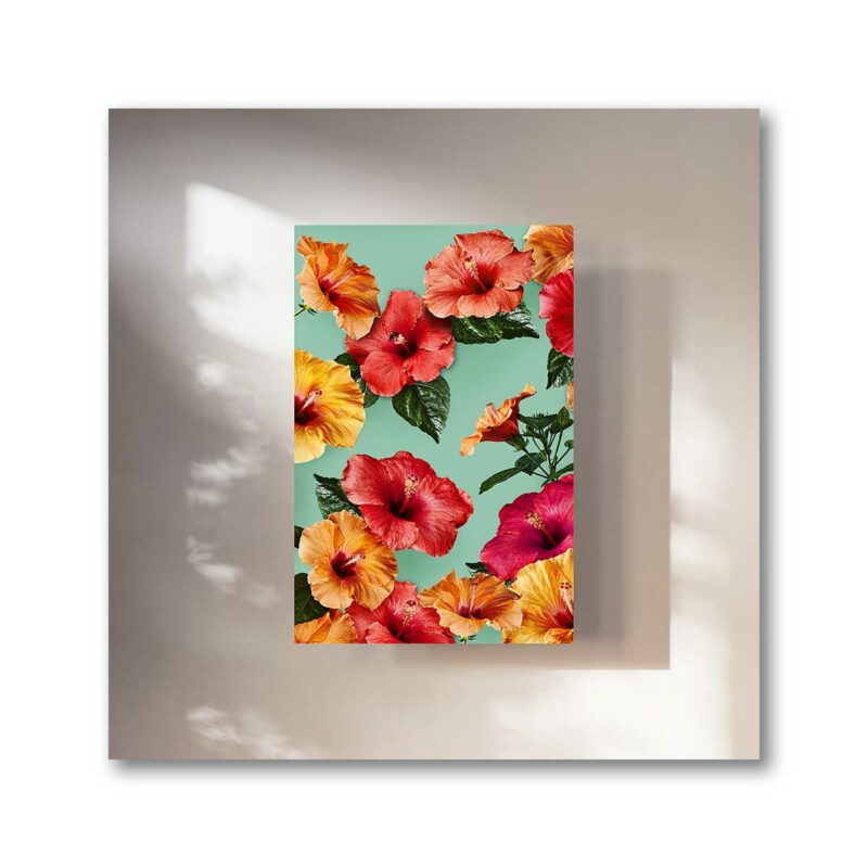 Wandbild Blumen mit bunten Hibiskus Blüten als Poster bestellen